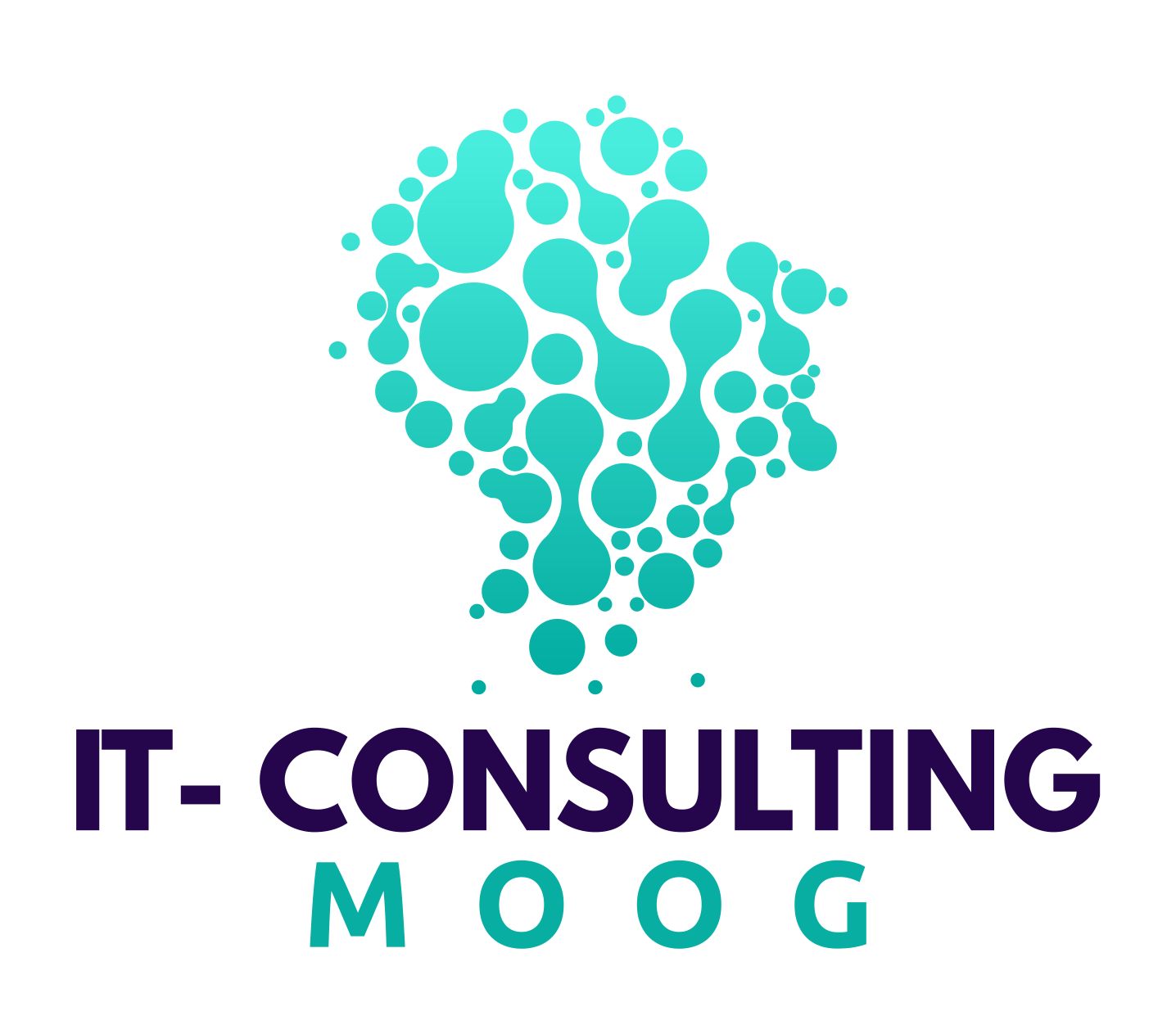 IT-Consulting MOOG